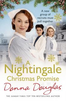 A Nightingale Christmas Promise Read online