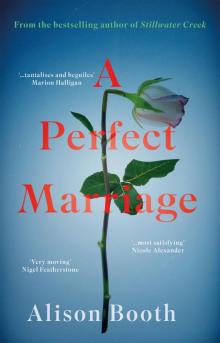 A Perfect Marriage Read online
