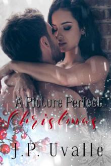 A Picture Perfect Christmas Read online