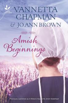 Amish Beginnings Read online