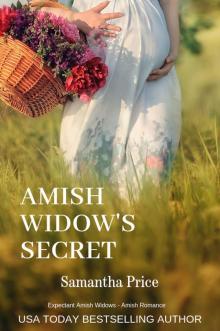 Amish Widow's Secret Read online