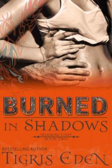 Burned In Shadows Read online