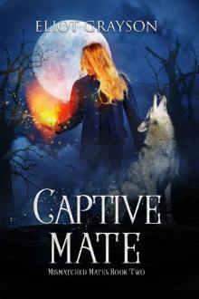 Captive Mate (Mismatched Mates Book 2) Read online