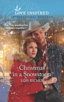 Christmas in a Snowstorm Read online