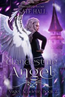 Clandestine Angel Read online