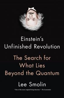 Einstein's Unfinished Revolution Read online