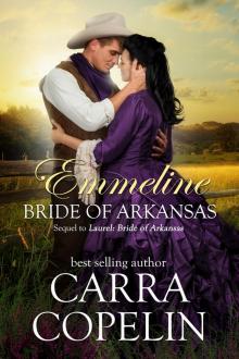 Emmeline, Bride of Arkansas Read online