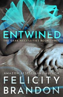 Entwined: (A Dark Romance Kidnap Thriller) (The Dark Necessities Trilogy Book 3) Read online