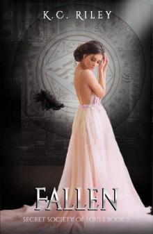 Fallen: A Dark Paranormal Romance (Secret Society of Souls, Book 2) Read online
