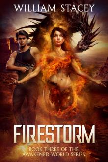 Firestorm Read online