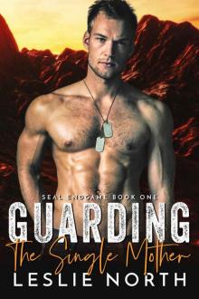 Guarding the Single Mother: SEAL Endgame Book One Read online