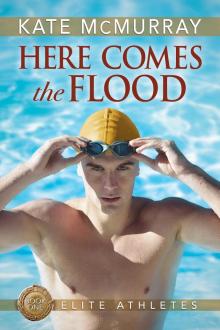 Here Comes the Flood Read online
