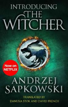 Introducing the Witcher Read online