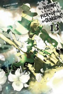 Is It Wrong to Try to Pick Up Girls in a Dungeon?, Vol. 13 Read online