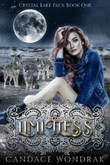 Limitless: A Reverse Harem Shifter Romance (Crystal Lake Pack Book 1) Read online