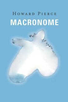 Macronome