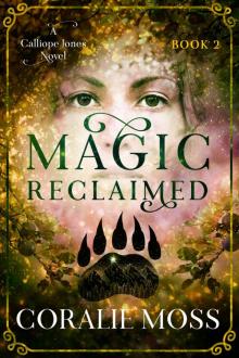 Magic Reclaimed Read online