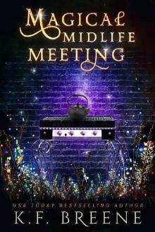 Magical Midlife Meeting: A Paranormal Women's Fiction Novel (Leveling Up Book 5)