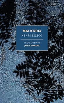 Malicroix Read online