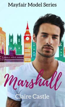 Marshall: Mayfair Model Series Read online