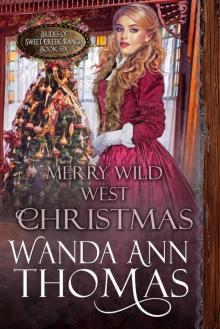 Merry Wild West Christmas Read online