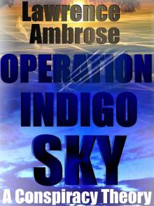 Operation Indigo Sky Read online