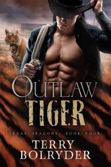 Outlaw Tiger Read online