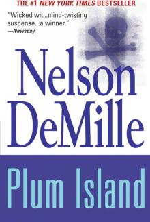 Plum Island Read online