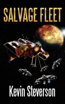 Salvage Fleet Read online