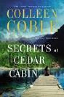 Secrets at Cedar Cabin Read online