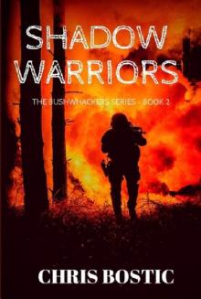 Shadow Warriors Read online