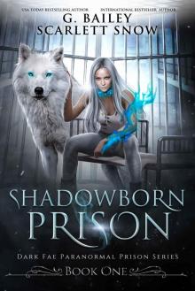 Shadowborn Prison (Dark Fae Paranormal Prison Series Book 1)