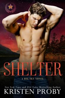 Shelter: A Heroes Of Big Sky Novel Read online