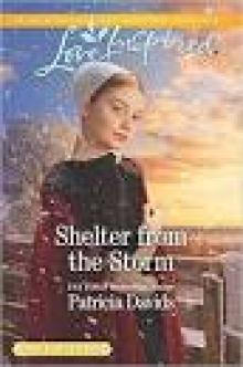 Shelter from the Storm Read online