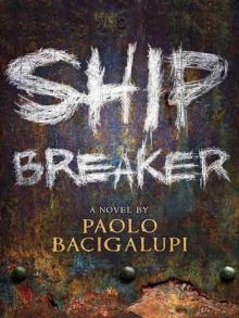 Ship Breaker Read online