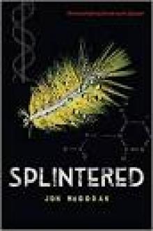 Splintered Read online