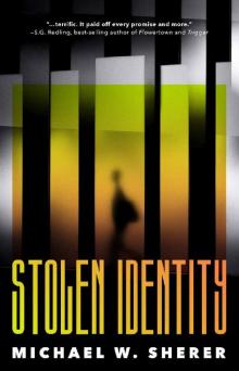 Stolen Identity Read online