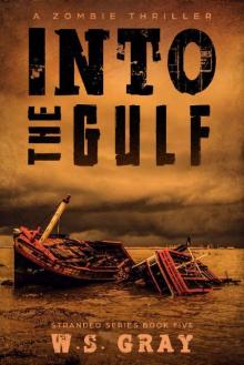 Stranded Series (Book 5): Into The Gulf