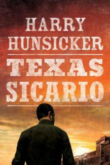 Texas Sicario (Arlo Baines Book 2) Read online
