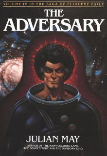 The Adversary Read online