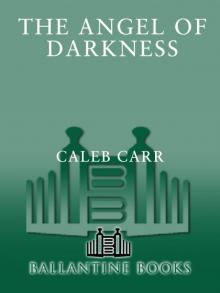 The Angel of Darkness Read online