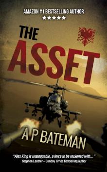 The Asset (Alex King Book 10) Read online