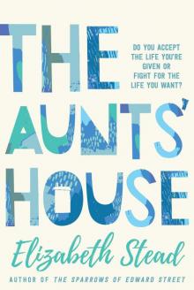 The Aunts’ House Read online