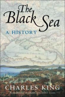 The Black Sea Read online