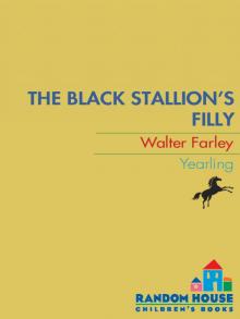 The Black Stallion's Filly Read online
