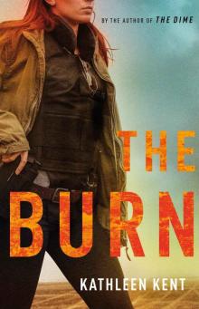 The Burn Read online