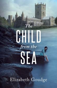 The Child From the Sea Read online