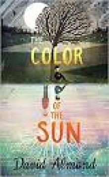 The Color of the Sun Read online