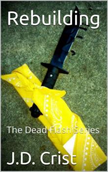 The Dead Flash Series | Book 2 | Rebuilding