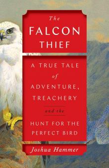 The Falcon Thief Read online